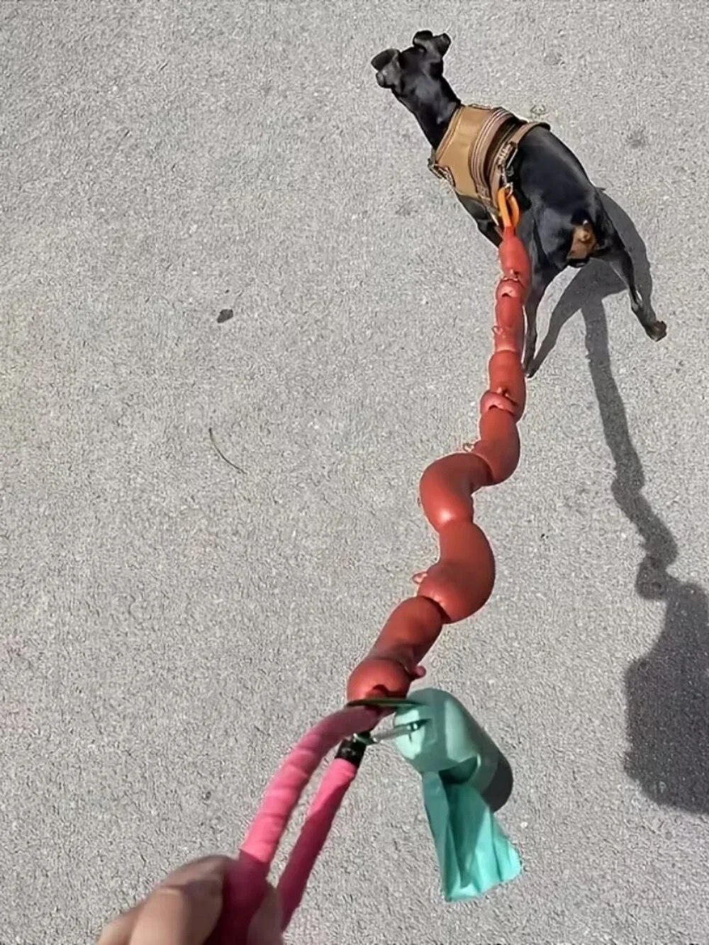 Novelty Hot Dog Sausage Dog Leash 42.5
